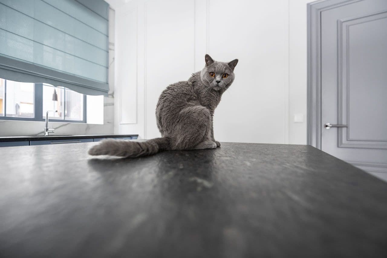 Viduržemio jūros įkvėptas interjeras - 034.jpg